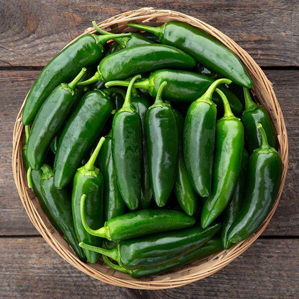 Jalapeño pepper